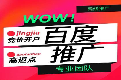 百度竞价账户管理攻略：实战案例与技巧分享